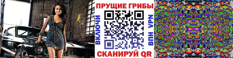 Псилоцибиновые грибы Cubensis цена наркотик Ленинск